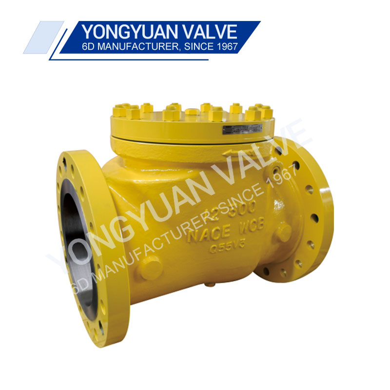 What is the purpose of the check valve?