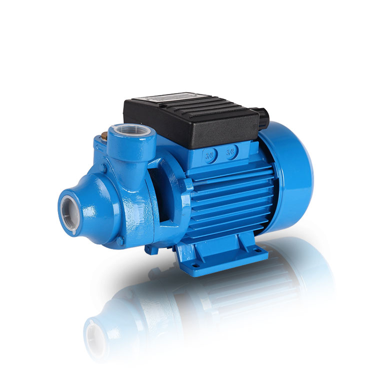 The Role of Peripheral Pump