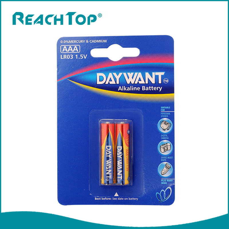 Here's some information about LR03 batteries