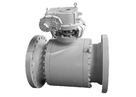 Overview of Trunnion Mounted Ball Valves