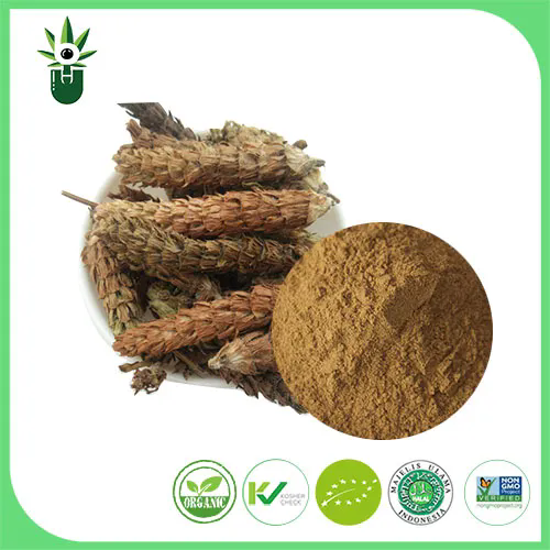 Unlocking the Benefits of Prunella Vulgaris Extract: Nature's Healing Power
