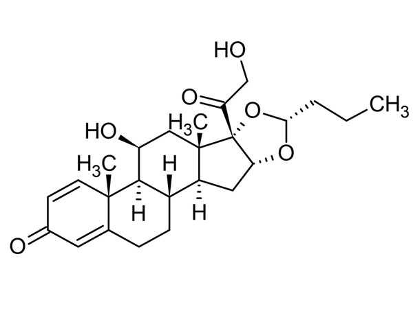 Budesonide: The Everyday Hero for Breathing Easy