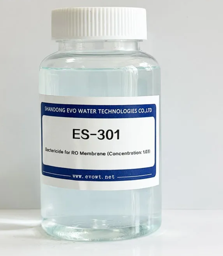 Best Reverse Osmosis Scale Inhibitor: A Complete Buying Guide