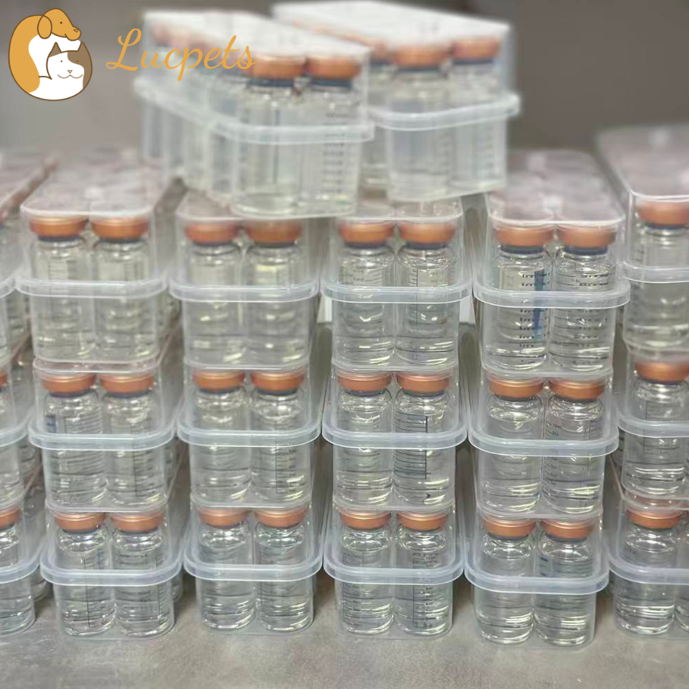Wholesale FIP Injectable GS-441524 What You Need to Know Before Buying