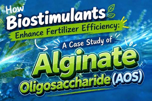 Reliable Fertilizer Additive Original Manufacturer: Your Trusted Partner for Superior Crop Performance